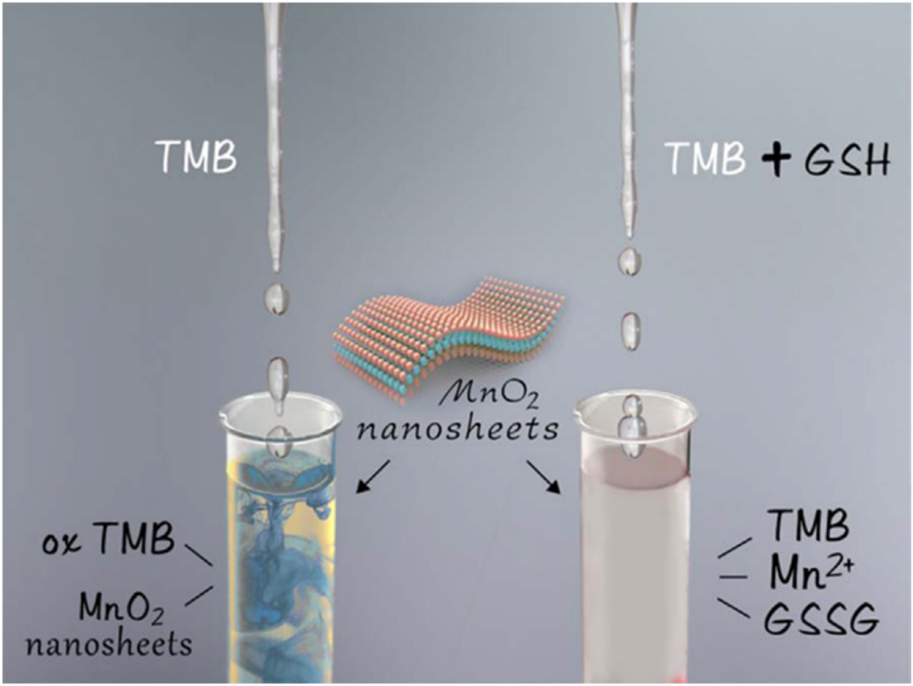 Biomedical application of manganese dioxide nanomaterials - IOPscience
