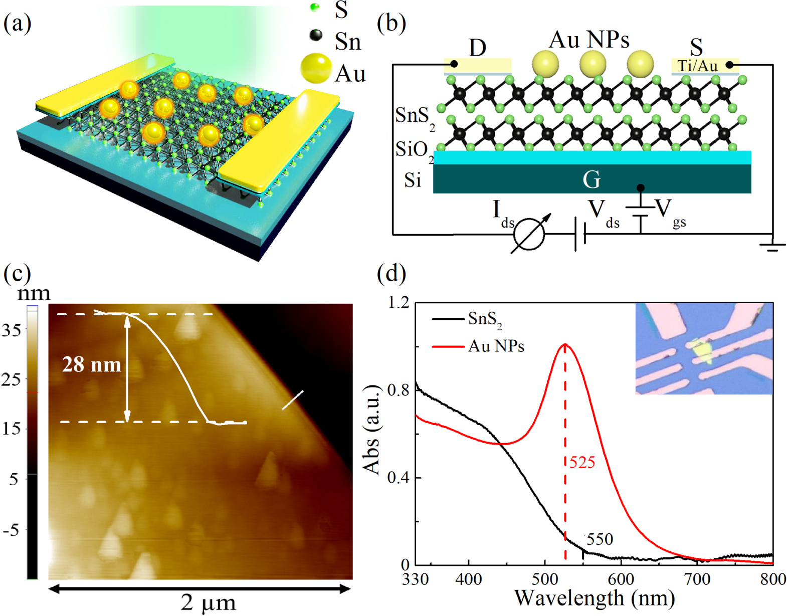 Sns2 Transistor Remarkable improved photoelectric performance of SnS2 field-effect ...