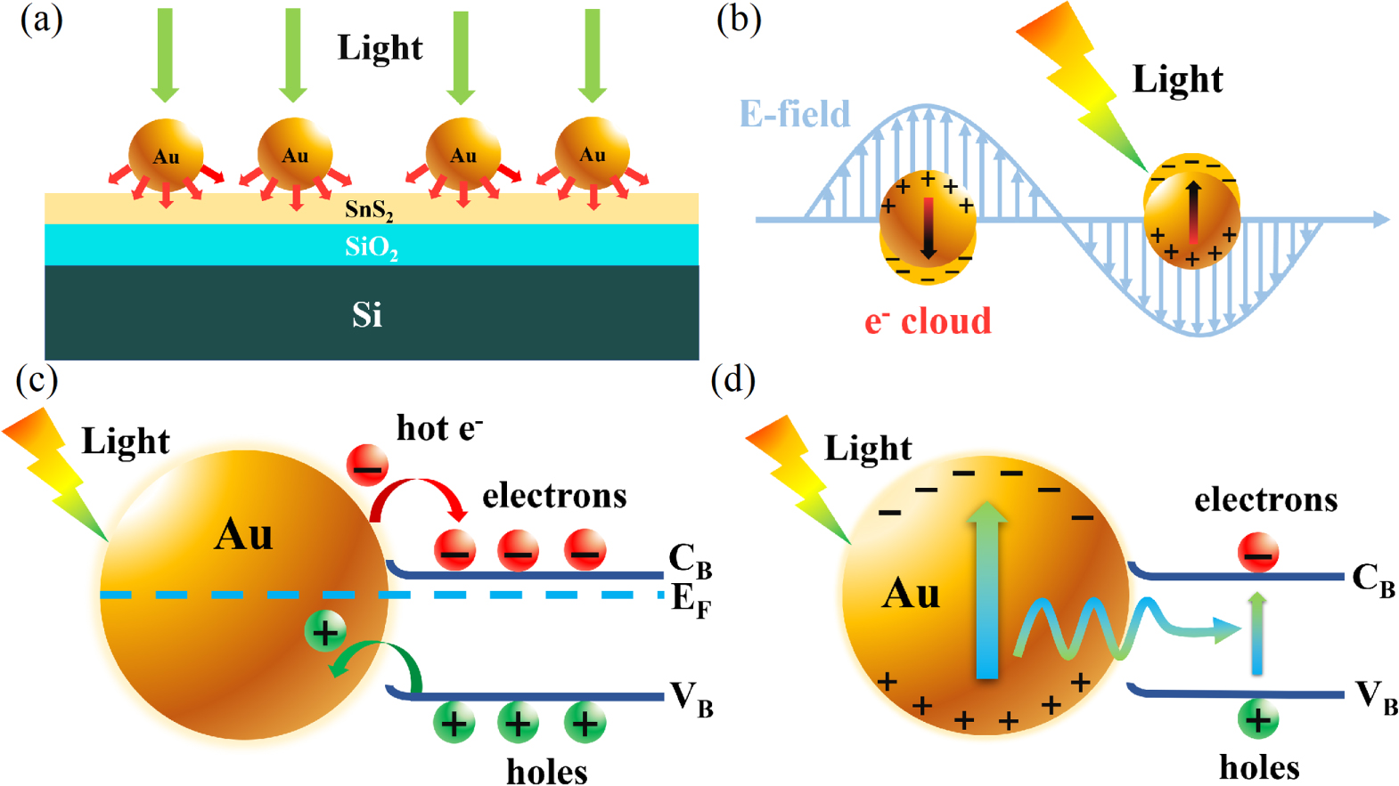 Sns2 Transistor Remarkable improved photoelectric performance of SnS2 field-effect ...