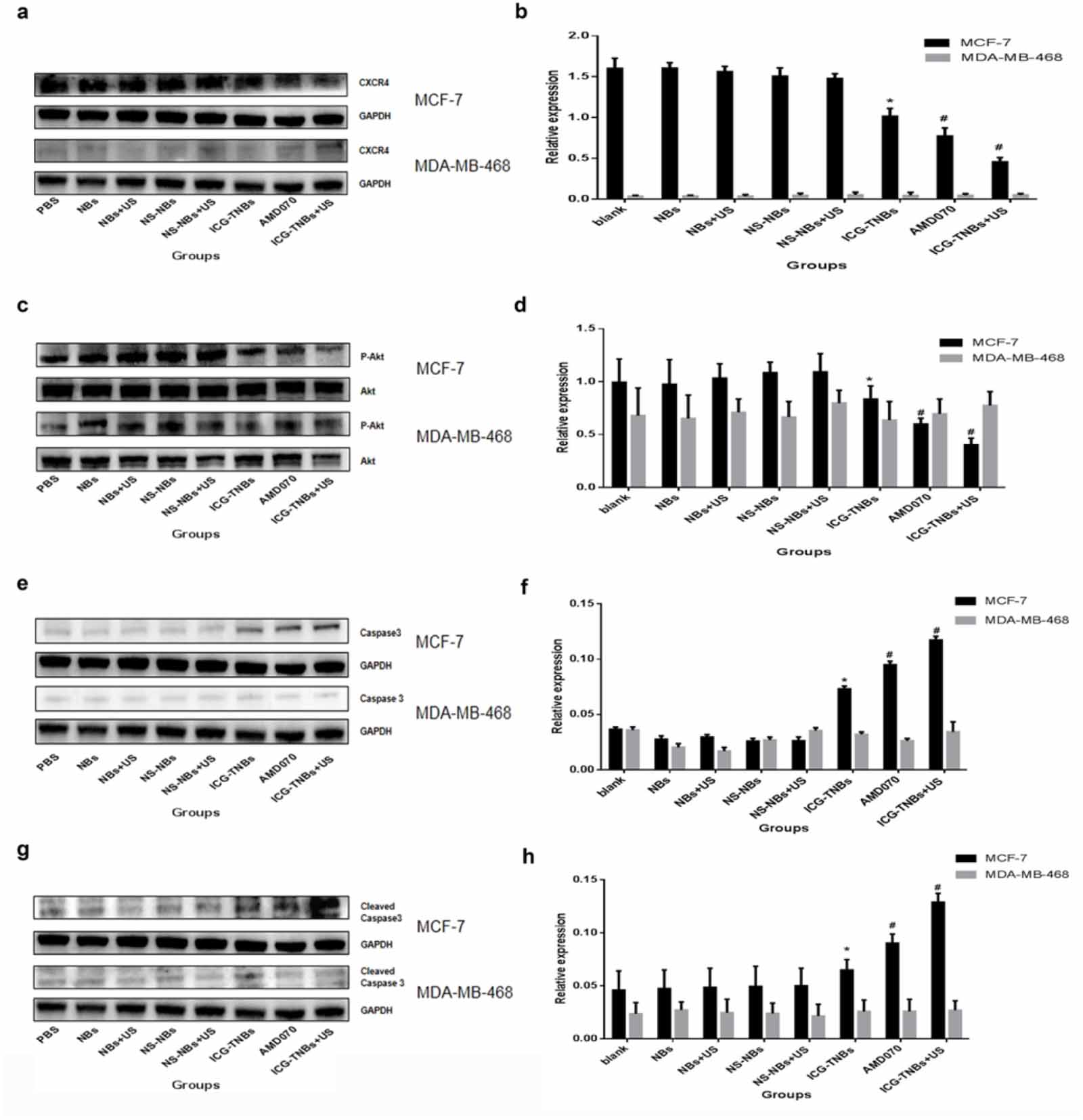 Efficacy evaluation and mechanism study on inhibition of breast cancer ...
