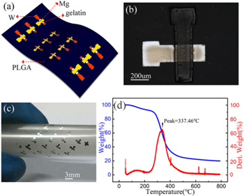 Flexible and fully biodegradable resistance random access memory based ...