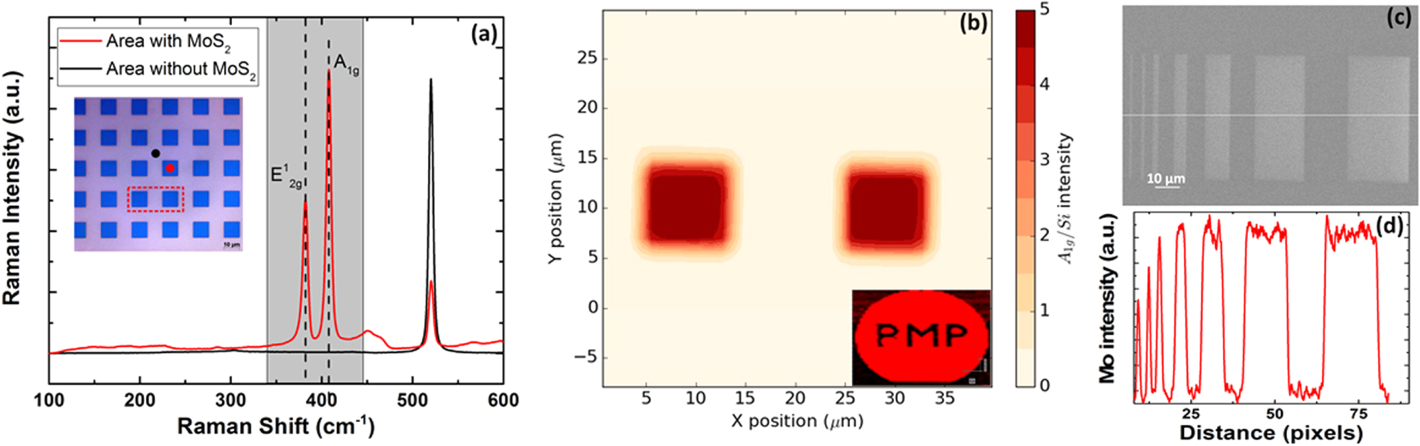 Large area, patterned growth of 2D MoS2 and lateral MoS2–WS2 ...