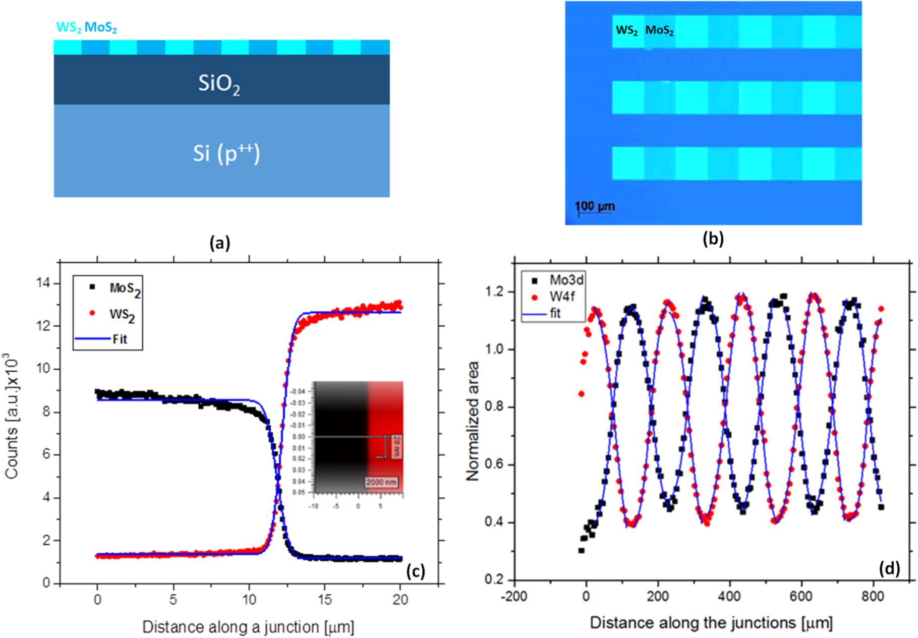 Large area, patterned growth of 2D MoS2 and lateral MoS2–WS2 ...