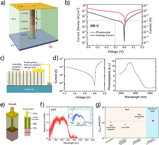 Recent progress on infrared photodetectors based on InAs and InAsSb ...