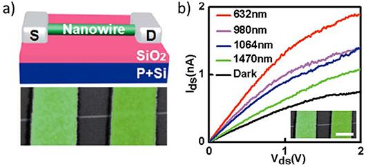 Recent progress on infrared photodetectors based on InAs and InAsSb ...