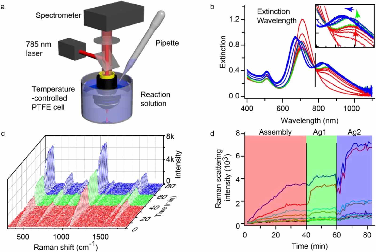 In situ monitoring of silver adsorption on assembled gold nanorods by ...
