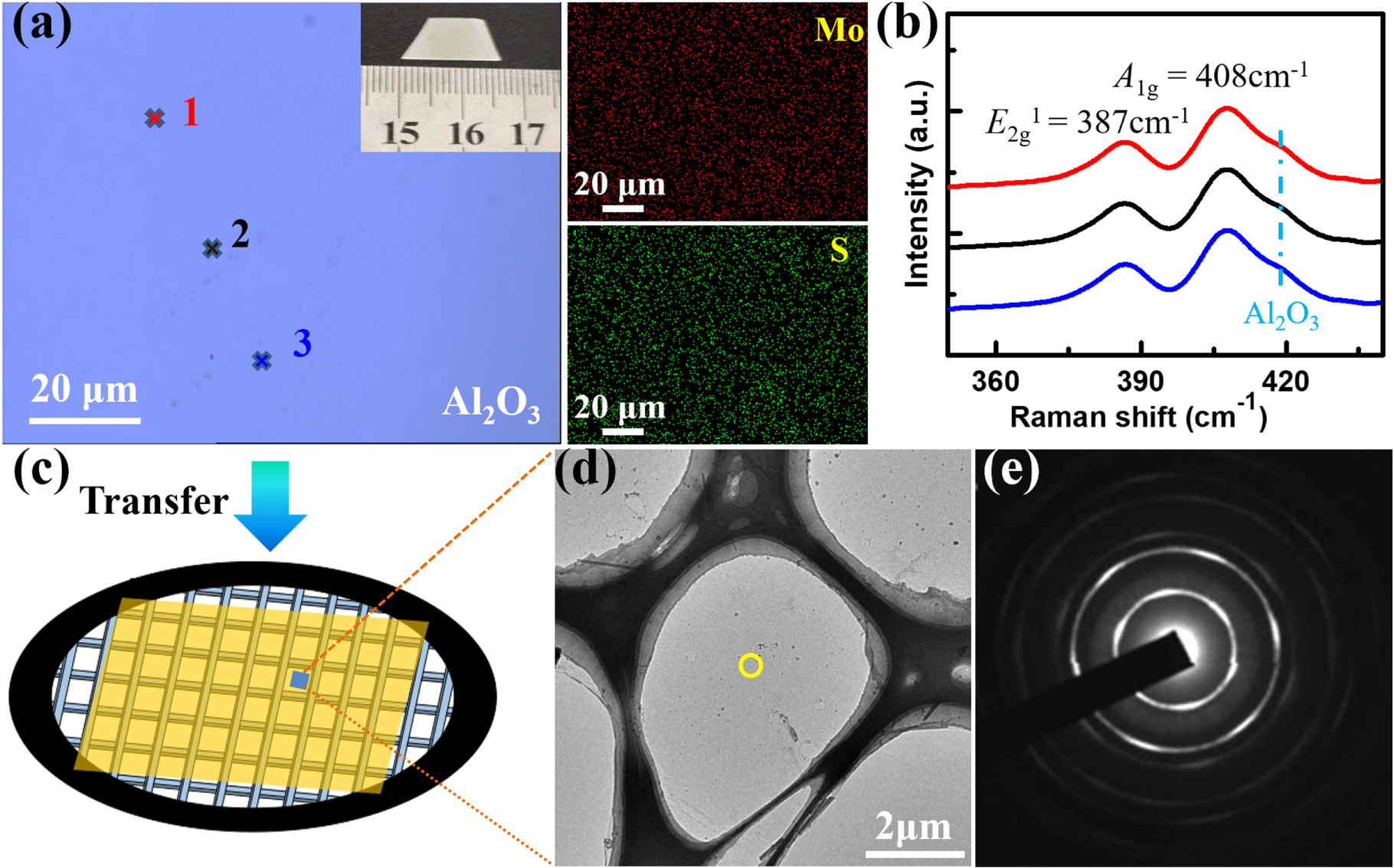 Controlled growth of MoS2 via surface-energy alterations - IOPscience