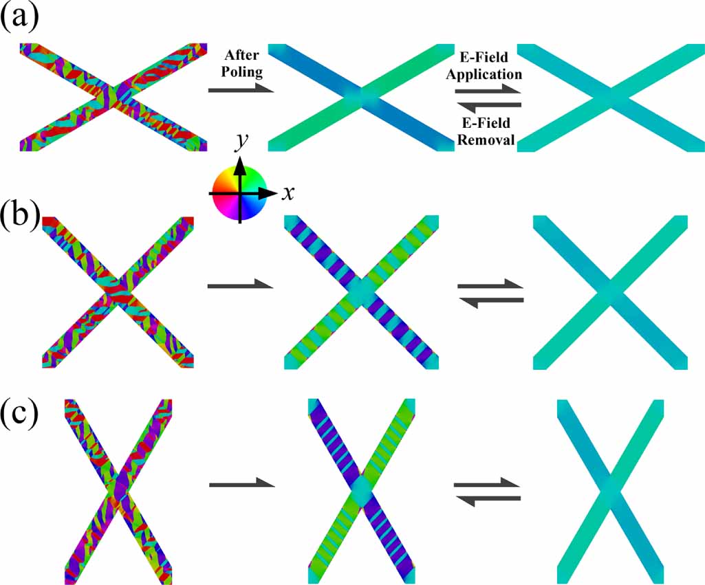 Large electrostrain induced by reversible domain switching in ordered ...
