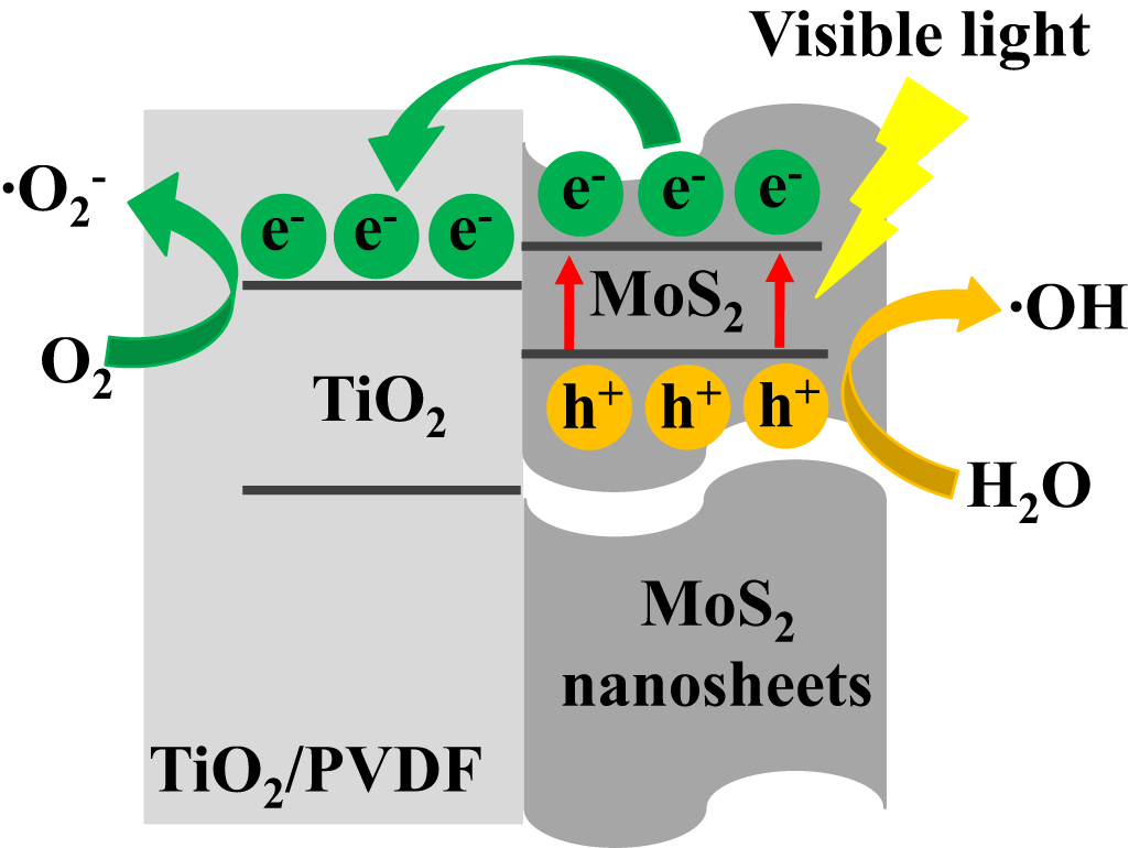 In situ preparation of 2D MoS2 nanosheets vertically supported on TiO2 ...