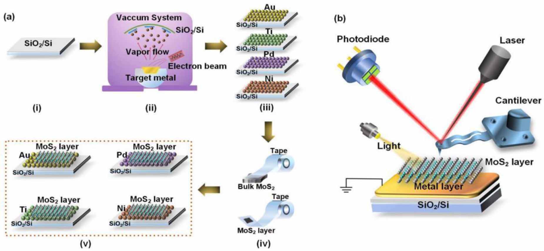 Influence of MoS2-metal interface on charge injection: a comparison ...