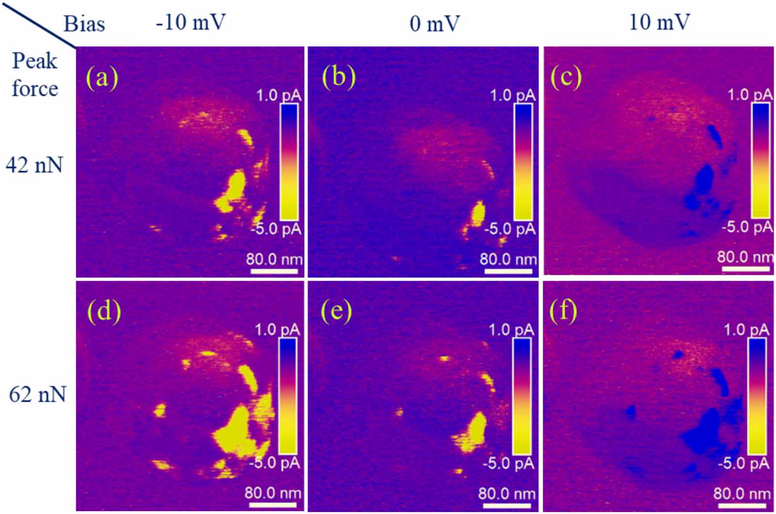 Time-resolved open-circuit conductive atomic force microscopy for ...