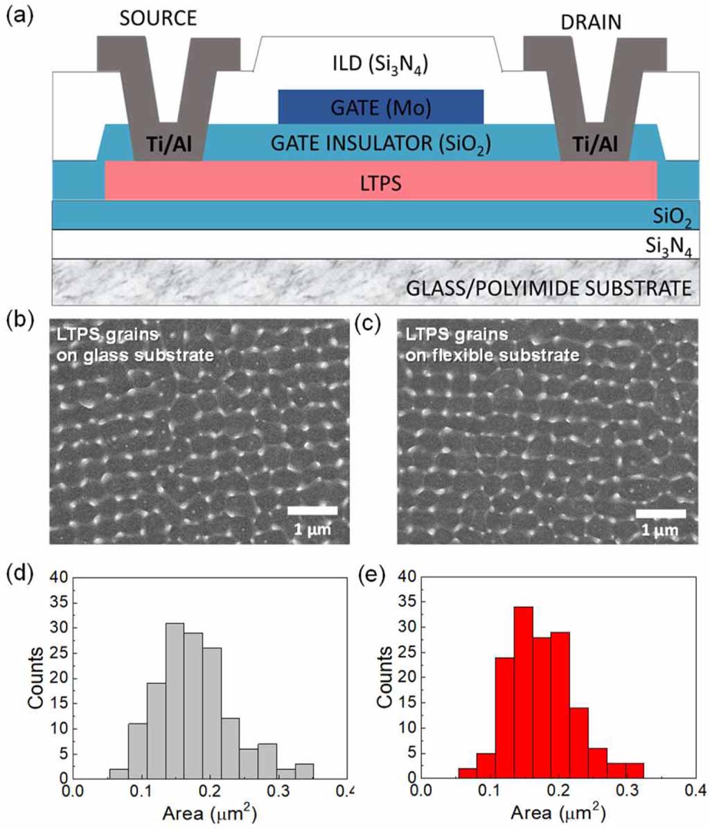 Influence of flexible substrate in low temperature polycrystalline ...