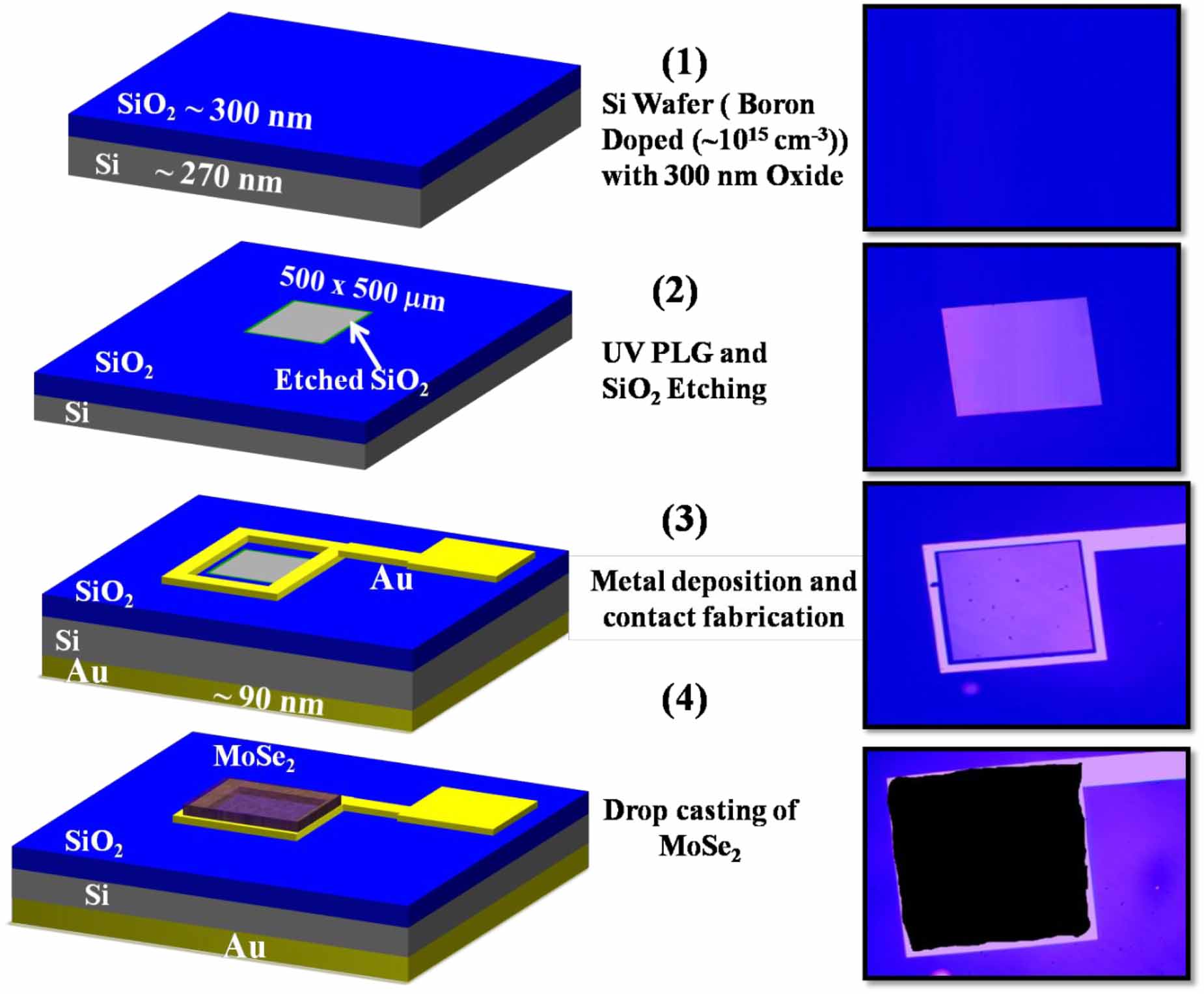 Broadband infrared photodetector based on nanostructured MoSe2–Si ...