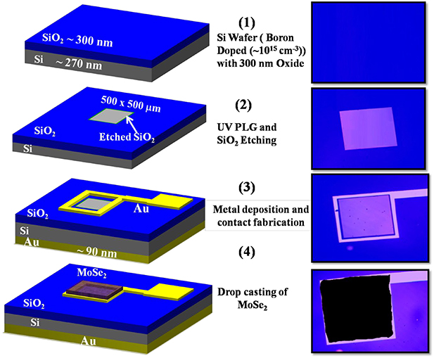 Broadband infrared photodetector based on nanostructured MoSe2–Si ...