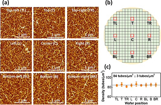 Wafer-scale carbon nanotube network transistors - IOPscience