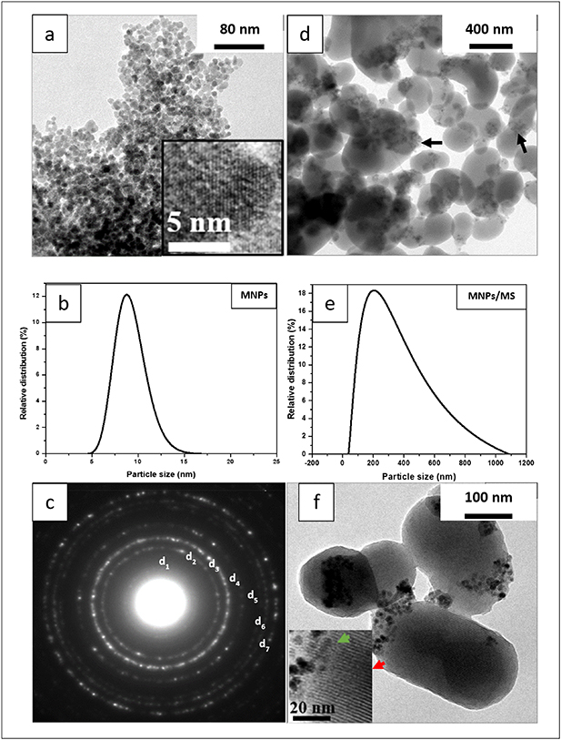 Magnetic mesoporous silica nanostructures: investigation of magnetic ...