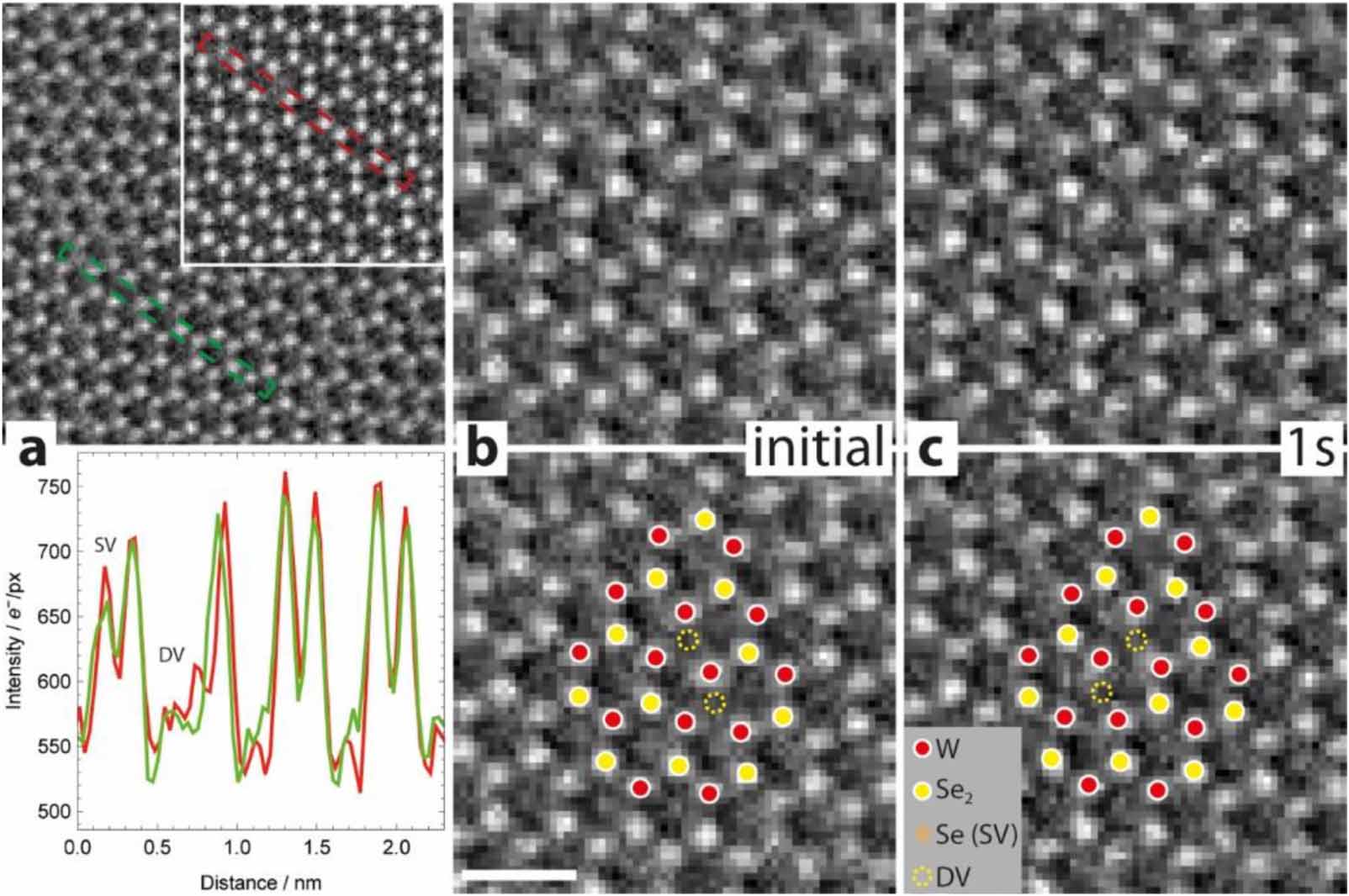 In-situ formation and evolution of atomic defects in monolayer WSe2 ...