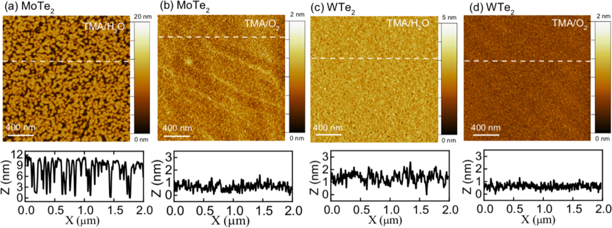 Surface and interfacial study of atomic layer deposited Al2O3 on MoTe2 ...