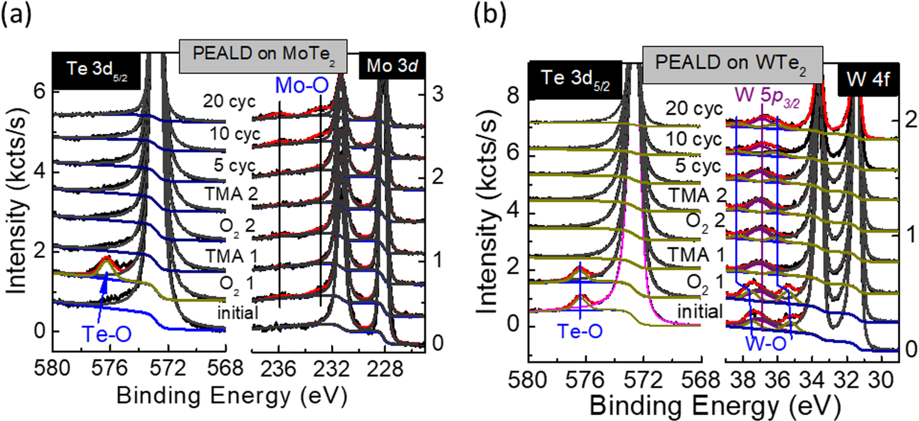 Surface and interfacial study of atomic layer deposited Al2O3 on MoTe2 ...