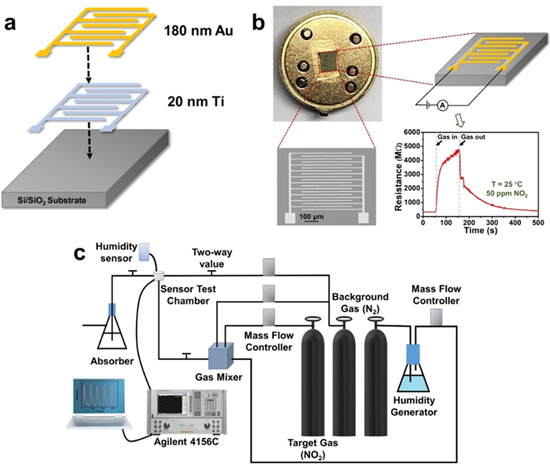 Highly sensitive NO2 gas sensors based on hexagonal SnS2 nanoplates ...