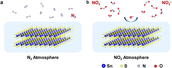 Highly sensitive NO2 gas sensors based on hexagonal SnS2 nanoplates ...