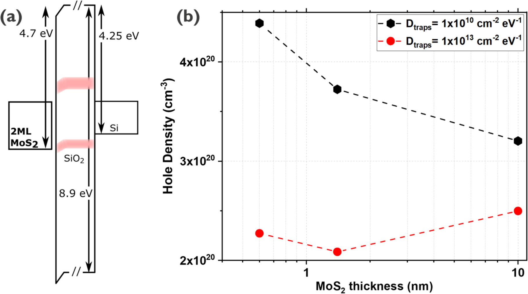 Understanding ambipolar transport in MoS2 field effect transistors: the ...