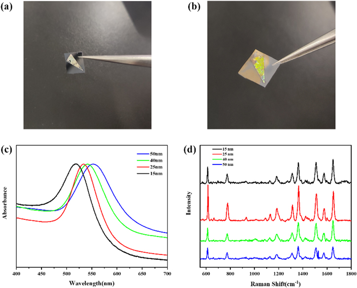 Nanoscale flexible Ag grating/AuNPs self-assembly hybrid for ultra ...