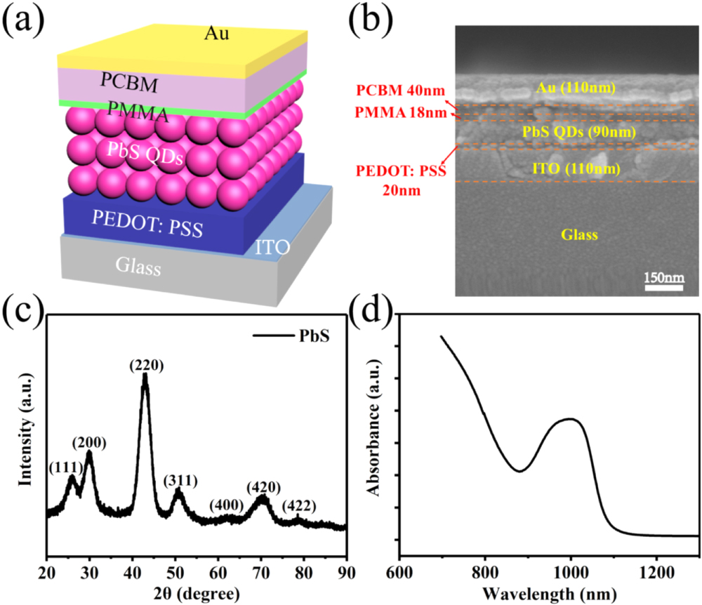 Enhanced detectivity of PbS quantum dots infrared photodetector by ...