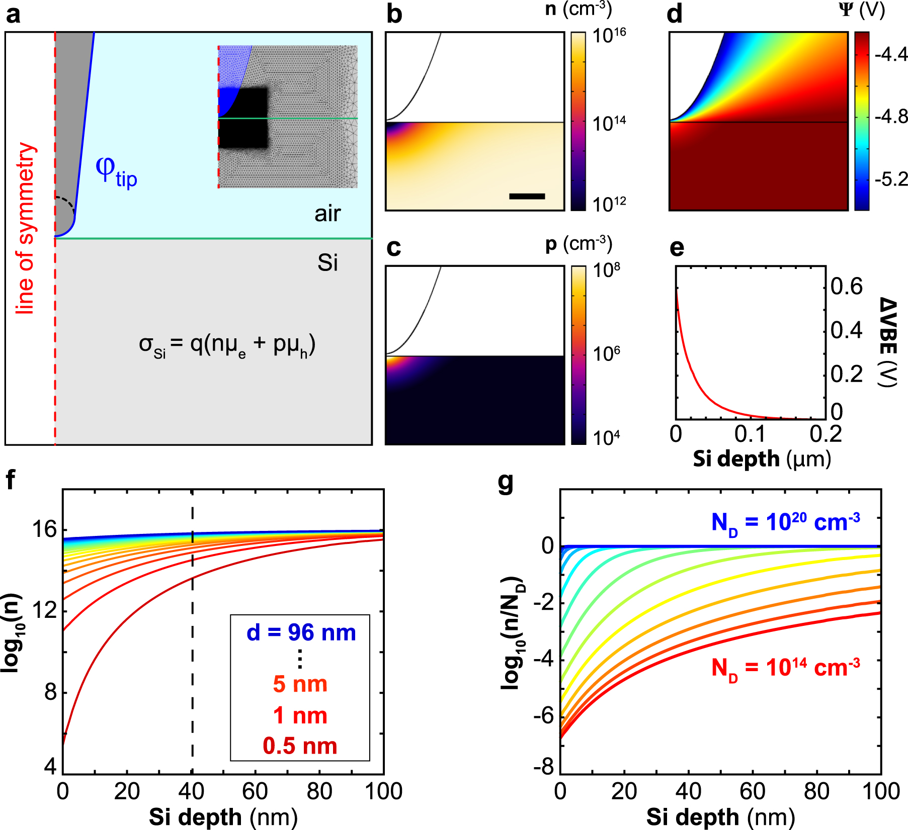 Electrostatic tip effects in scanning probe microscopy of