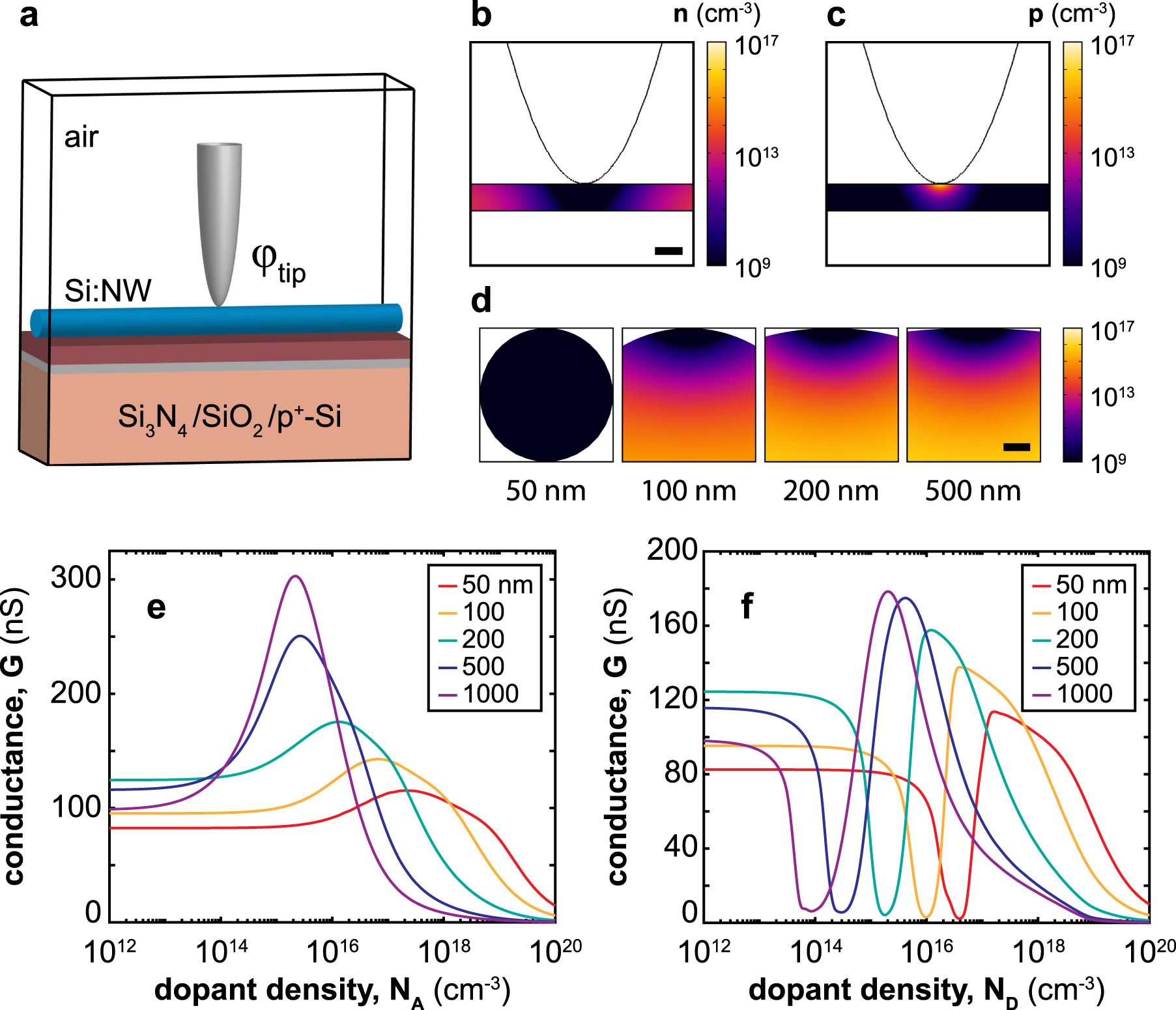 Electrostatic tip effects in scanning probe microscopy of