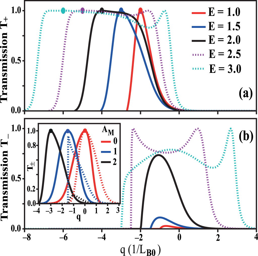 Anisotropic and gate-tunable valley filtering based on 8-Pmmn