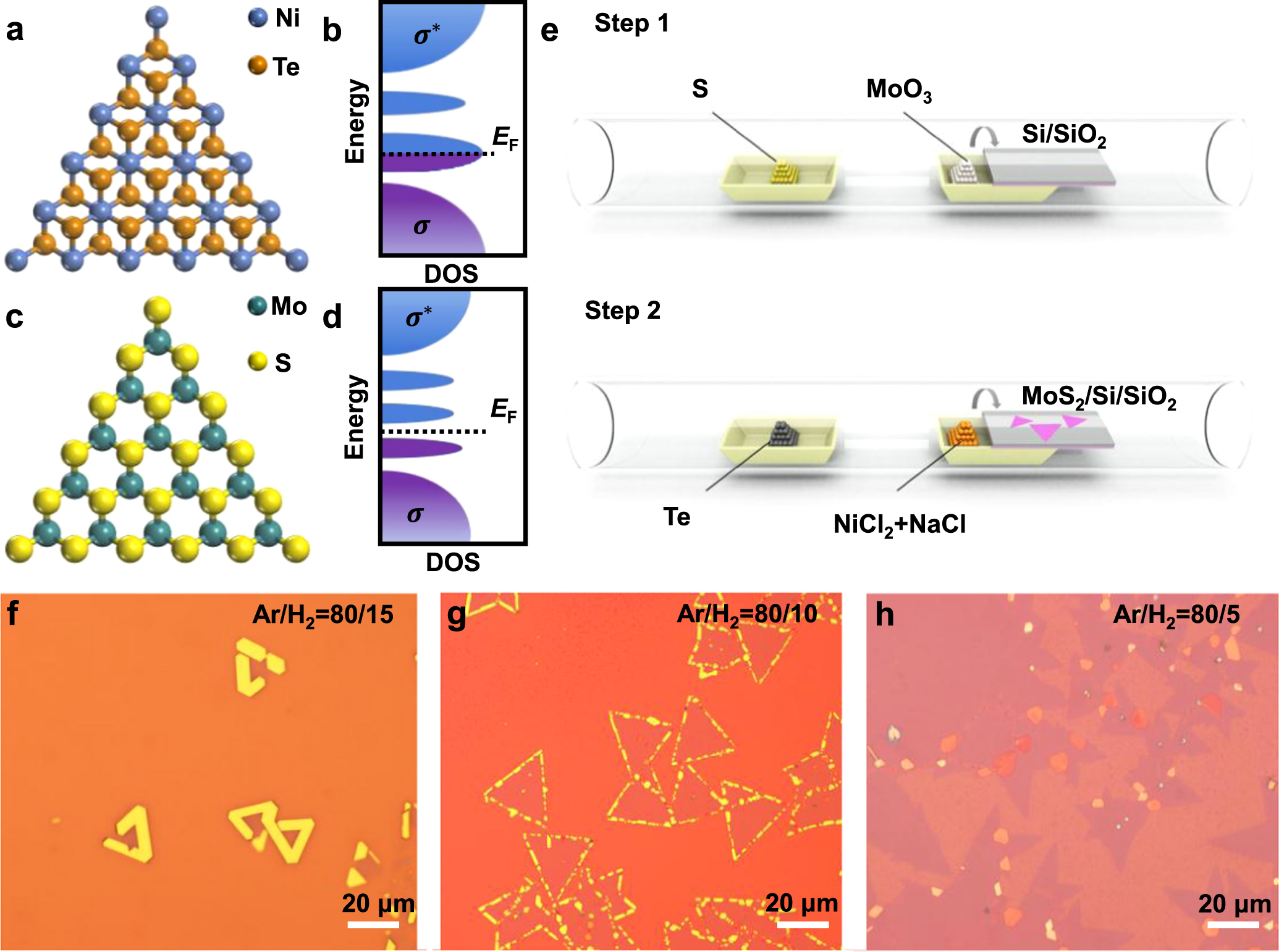 Two-step chemical vapor deposition synthesis of NiTe2-MoS2
