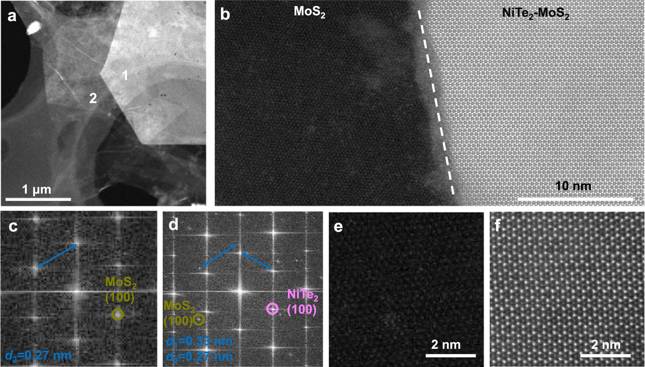 Two-step chemical vapor deposition synthesis of NiTe2-MoS2