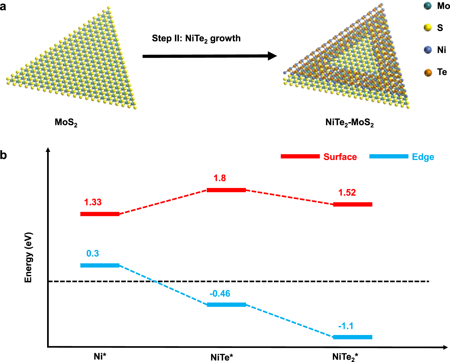 Two-step chemical vapor deposition synthesis of NiTe2-MoS2