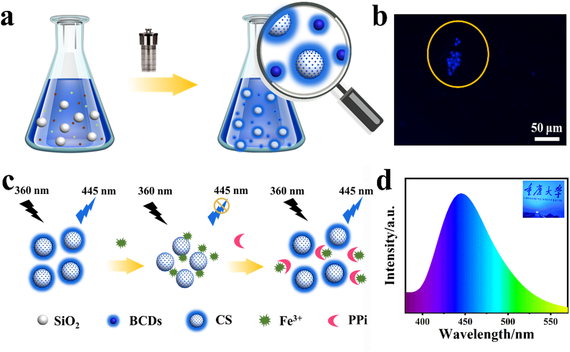 One-step synthesis of fluorescence-enhanced carbon dots for Fe (III) on ...