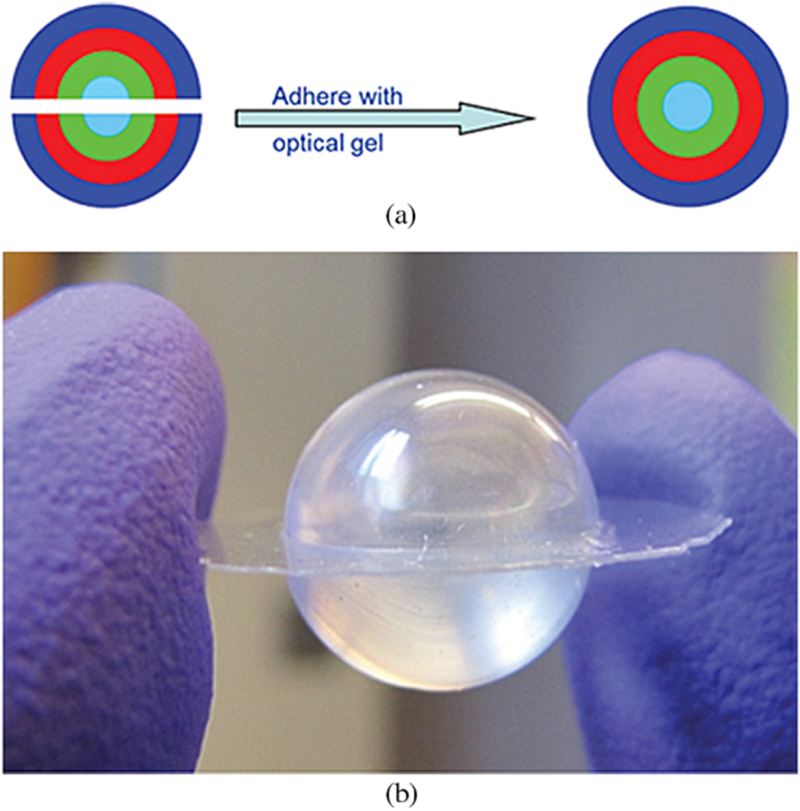 Biomimetic models of the human eye, and their applications - IOPscience