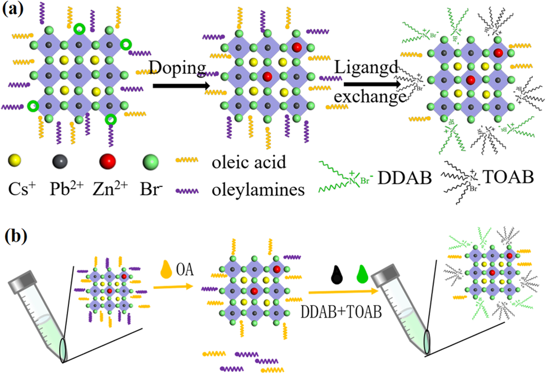 Synergistic function of doping and ligand engineering to enhance the ...