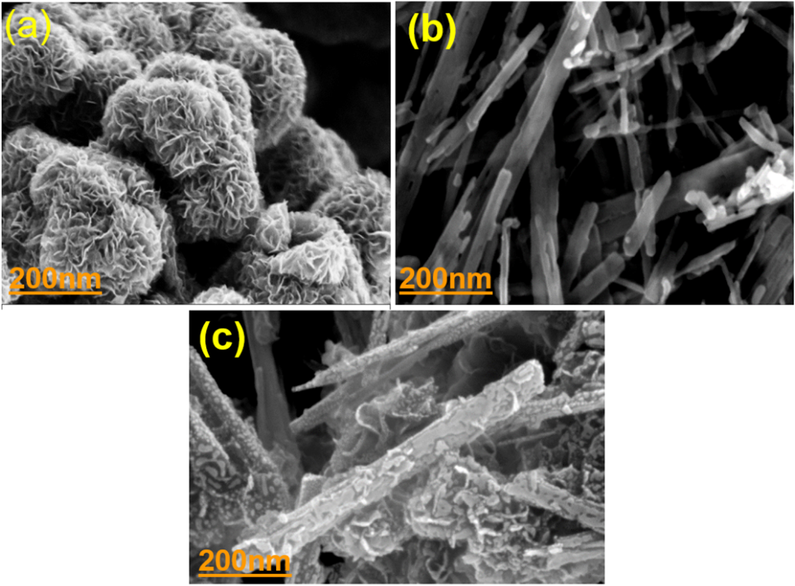 Construction of 2D layered TiO2@MoS2 heterostructure for efficient ...