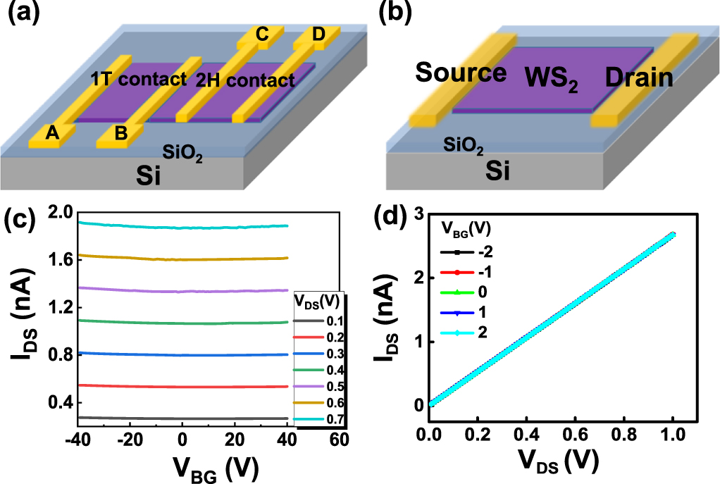 Performance improvement in p-Type WS2 field-effect transistors with 1T ...
