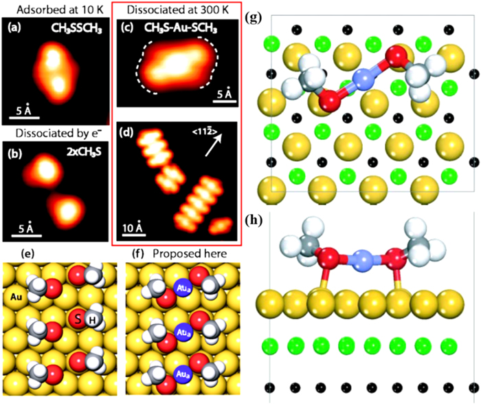 The ligand effect on the interface structures and electrocatalytic ...