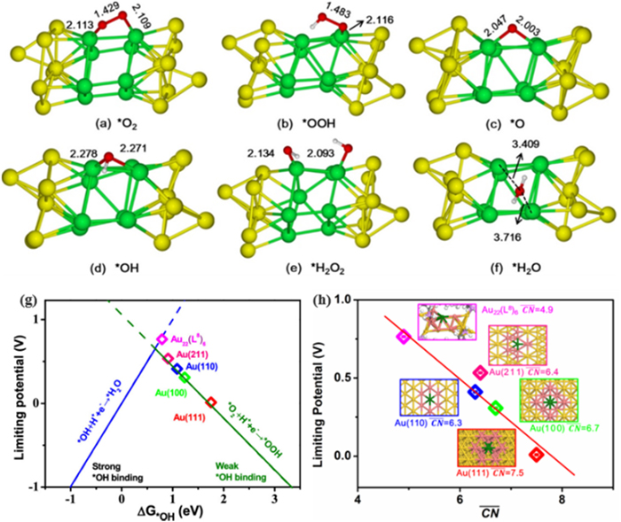 The ligand effect on the interface structures and electrocatalytic ...