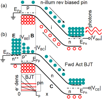 Modeling of nanohole silicon pin/nip photodetectors: Steady state and ...