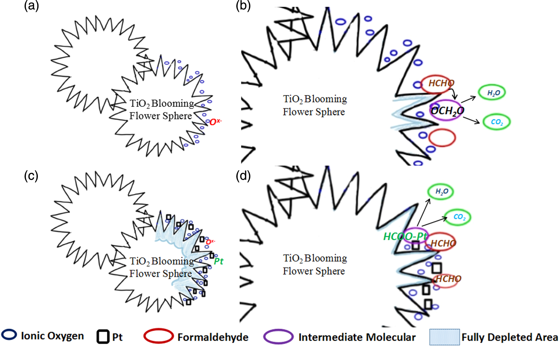 Tio2 Sem Flower TiO2 hierarchical nano blooming-flower decorated by Pt for formaldehyde ...