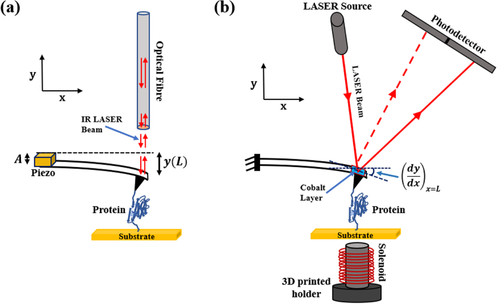 Validity of point-mass model in off-resonance dynamic atomic force ...