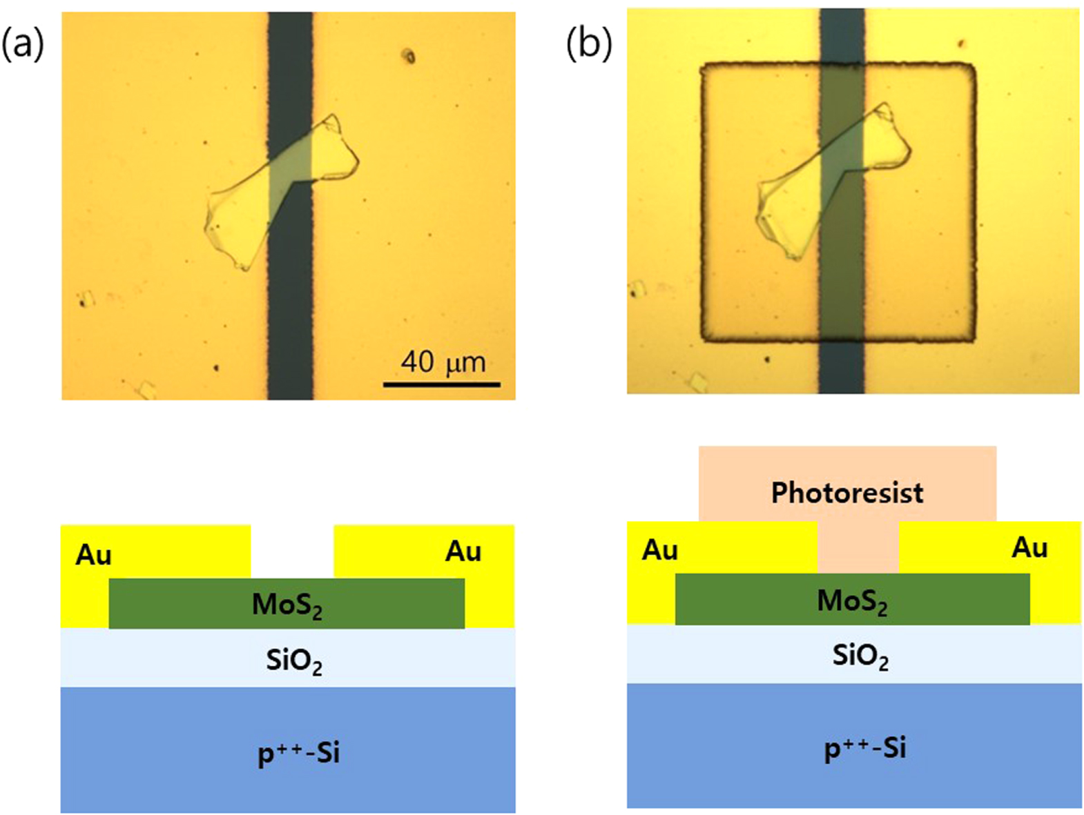 Mos As Ressistor Body Enhanced performance of multilayer MoS2 transistors encapsulated with a ...