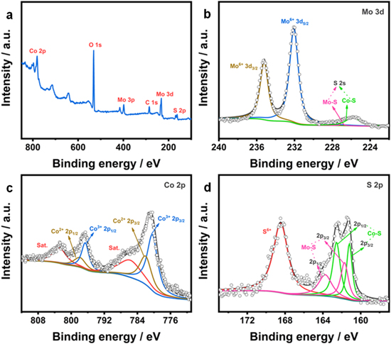 Interface-engineered Co3S4/CoMo2S4 nanosheets as efficient bifunctional ...