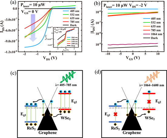 Broadband photodetector based on ReS2/graphene/WSe2 heterostructure ...