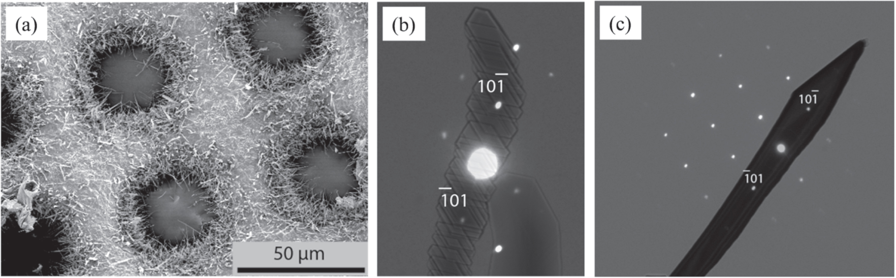 Growth of 1D TiO2 nanostructures on Ti substrates incorporated with ...