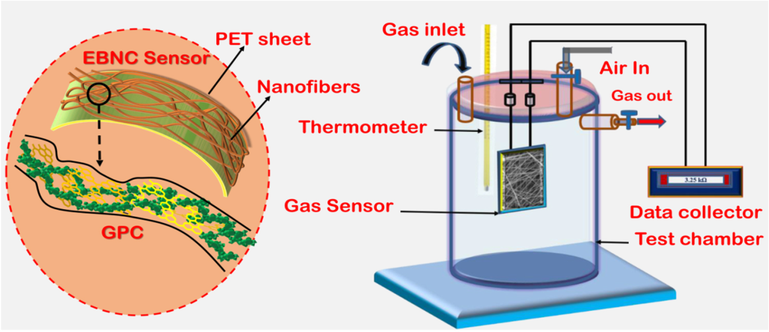 Highly sensitive and wearable NO2 gas sensor based on PVDF nanofabric ...