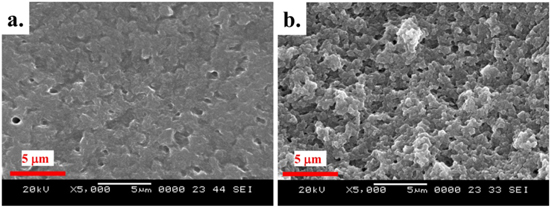 Highly sensitive and wearable NO2 gas sensor based on PVDF nanofabric ...